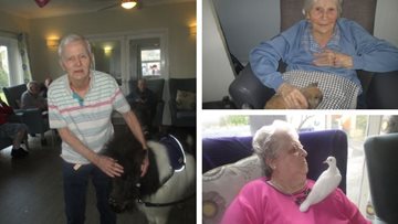 Residents welcome new furry friends at Swansea care home
